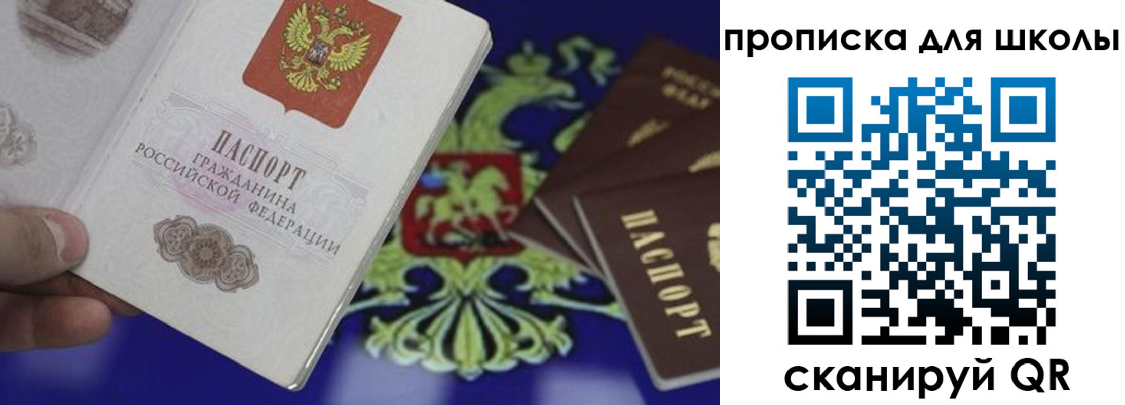 прописка паспорт в Заполярном